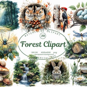 Collection de cliparts forêt, ensemble de cliparts animaux de la forêt aquarelle, éléments de la nature 20 PNG, chambre d'enfant, faire-part, motifs par sublimation