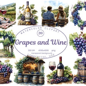 Colección de imágenes prediseñadas de uvas y vino, 20 ilustraciones PNG de acuarela de viñedos, elegante arte estético de bodega, descarga digital PNG