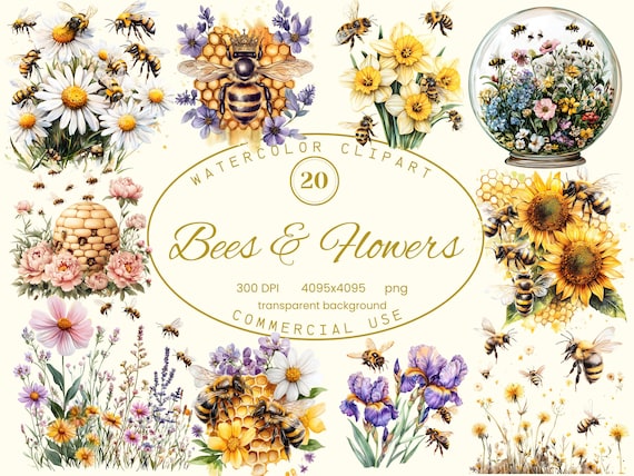 Bees and Flowers Clip Art Collection, Watercolor 20 PNG illustrations, Whimsical Style Art Digital Download Commercial Use