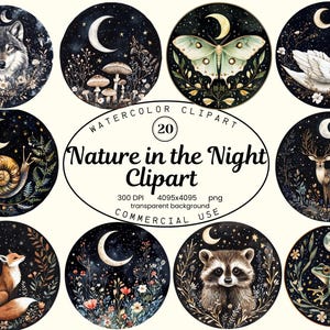Nacht in de natuur clipartcollectie, nachtelijke bosdieren aquarel, kinderkamer clip art 20 png folk nacht bos sublimatie ontwerpen