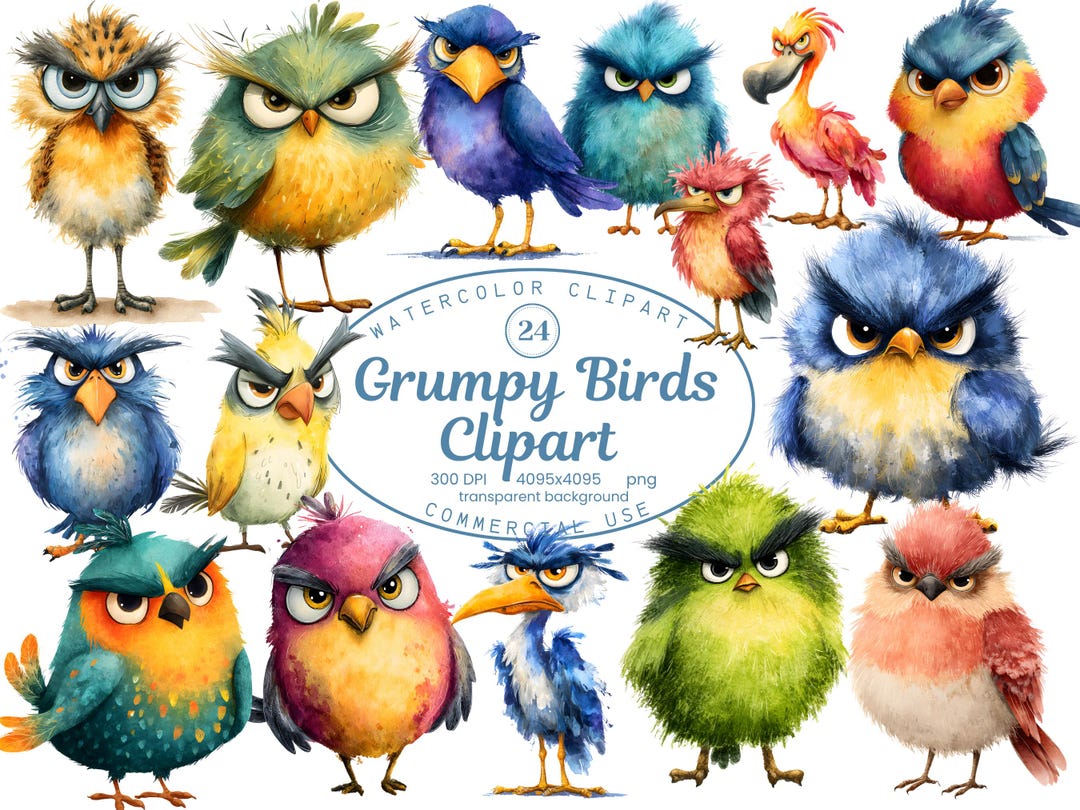 Grumpy Birds Clipart Collection, 24 PNG Colorful Cute Quirky Bird ...