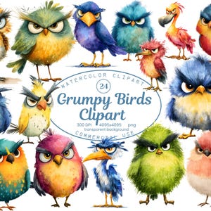 Grumpy Birds Clipart Collection, 24 PNG Colorful Cute Quirky Bird Illustrations, Watercolor Invitations, Scrapbooking, Digital Download