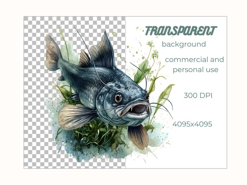 May include: A watercolour illustration of a catfish with an open mouth, surrounded by green aquatic plants. The background is transparent.