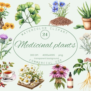 Heilpflanzen Clip Art Sammlung, Botanische Designs 24 PNG Illustrationen, Aquarell Stil Kunst Digitaler Download Kommerzielle Nutzung