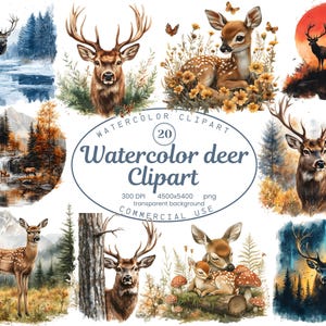 Watercolor Deer Clipart Collection, Whimsical Forest Animals, Buck, Fawn, Stag 20 PNG Illustrations, Woodland Animals, Sublimation Designs