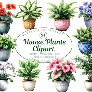 Collection de cliparts plantes d'intérieur, 24 illustrations botaniques aquarelle PNG, Monstera PNG pour amoureux des plantes, raboteuses numériques, conception par sublimation