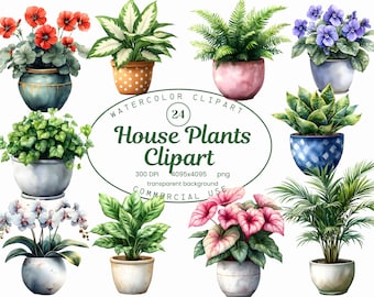 House Plants Clipart Collection,  24 PNG Botanical Watercolor Illustrations, Plant Lover Monstera PNG, Digital Planers, Sublimation Design