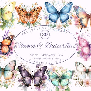Fleurs et papillons Clip Art Collection, illustrations fantaisistes du printemps 30 PNG, utilisation commerciale en téléchargement numérique Art Style aquarelle