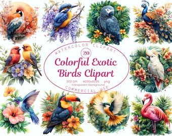 May include: Watercolor clipart featuring 20 colorful exotic birds, including a peacock, parrot, toucan, and flamingo, surrounded by floral arrangements. The image includes the text "Colorful Exotic Birds Clipart".