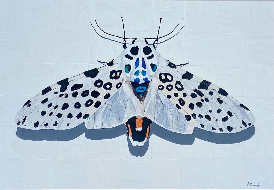 Giant Leopard Moth - Etsy