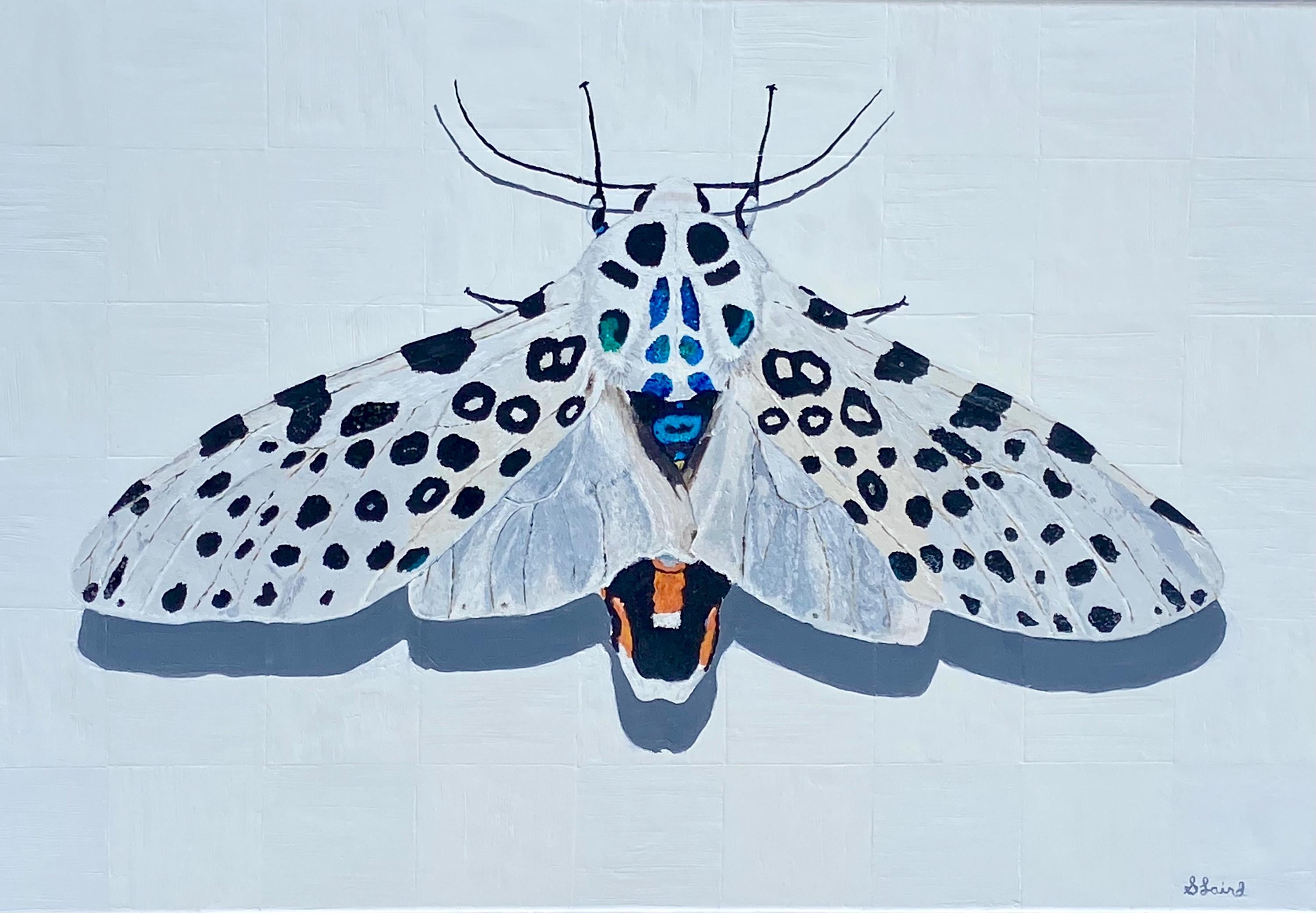 Giant leopard moth - Etsy 日本