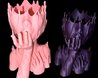 Melted Goddess Head Planter - Succulent Plant Pot - 3D Printed - Medusa - Melting Lady Woman Face Head Vase - House Plant Sculpture