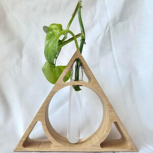 May include: A wooden triangle plant stand with a glass test tube in the center. The stand has a circular opening and a smaller triangle cutout. A green plant is growing in the test tube.