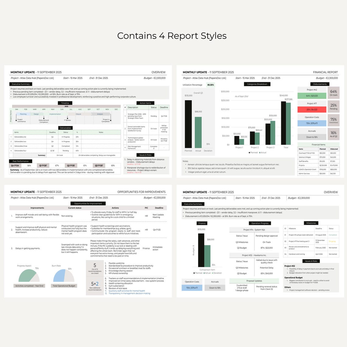 Executive Project Status Report Template - Powerpoint : Executive ...