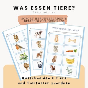 Bildkarten Was essen Tiere / Tiere und Essen Montessori Sortierspiel Kleinkind Lernspiel Spielzeug Kita Vorschule Kindergarten Tierkarte