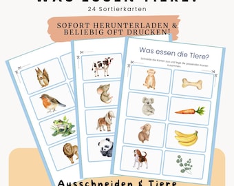 Picture cards What do animals eat? / Animals and food Montessori sorting game Toddler learning game Toy Daycare Preschool Kindergarten Animal card