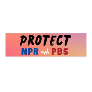 Protect NPR / PBS Bumper Sticker