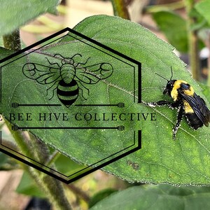 Southern Plains Bumblebee on Green Heart-shaped Leaf. Bumblebee print. Nature Print. Boho Wall Art. Bumblebee Digital Art. Farmhouse Decor.