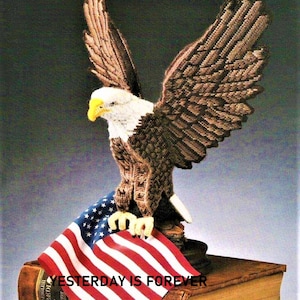 Plastic Canvas Pattern Rare  County Fare Entry Worthy 3D Large SCULPTED EAGLE Instant Digital Download Free Shipping