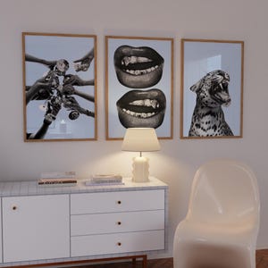 May include: Three framed art prints. The first shows hands toasting with glasses. The second features two sets of lips with gold teeth. The third depicts a roaring leopard. The frames are light brown.