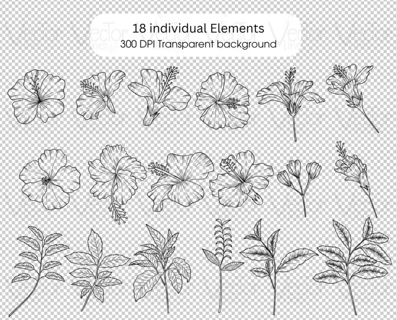 Hibiscus Flower SVG Bundle: Tropical Line Art Clipart (digital Download ...