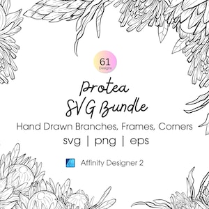 Puede incluir: Ilustración en blanco y negro de un paquete SVG de Protea. La imagen incluye ramas, marcos y esquinas dibujadas a mano. El texto indica que el paquete incluye 61 diseños y es compatible con formatos SVG, PNG y EPS.