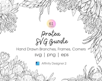 Protea Floral Clipart Bundle: Fine-Line PNG & SVG Elements (Instant Download)