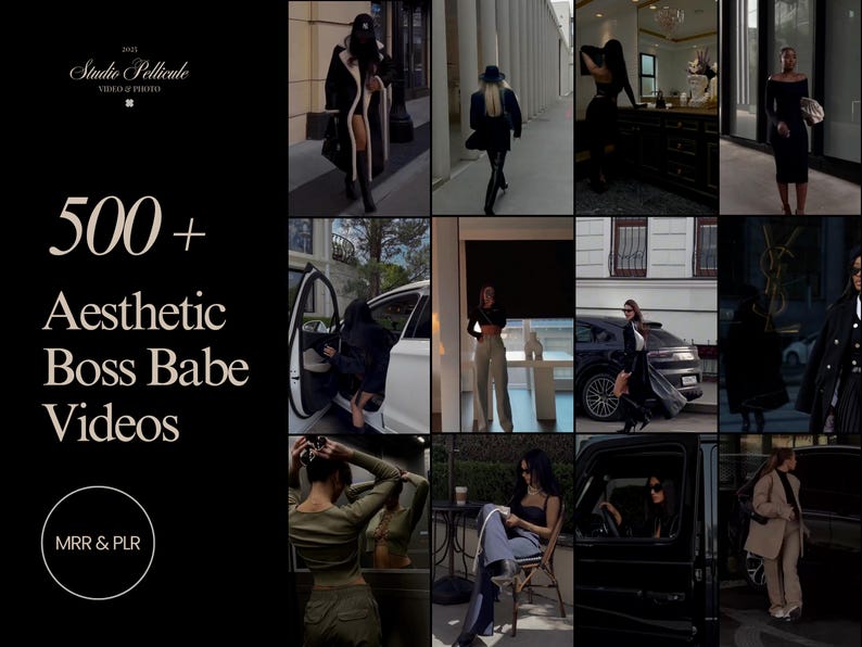 Faceless video, aesthetic video, faceless reels, luxury reels, mega reels bundle, faceless marketing, plr videos pack, mrr resell rights image 5