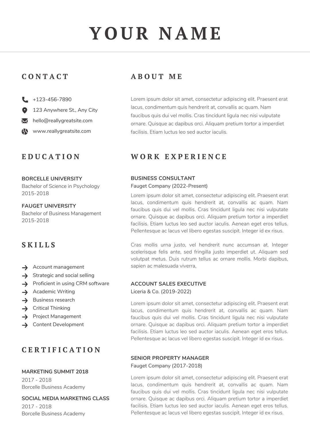 Professional Resume Template – Editable Digital File - Etsy