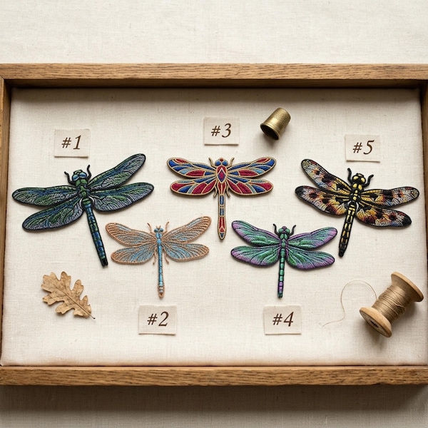Conjunto de parches personalizados bordados de libélulas con nombre, coloridos parches termoadhesivos de animales para chaquetas, regalos de insectos de la naturaleza para hombres y mujeres, decoración de jardín botánico.