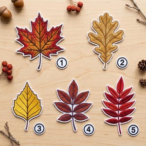 Custom Name Embroidered Autumn Leaf Patch Set, Plant Lovers Iron On Garden Decor, Botanical Nature Gift Women, Thanksgiving Gifts for Her