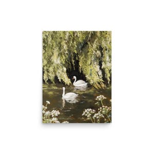Swans in Willows | Fine Art Print by Taylor Hammond | Pond Scene, Swan Painting, Nature Art Print, Wall Art | Poster Print