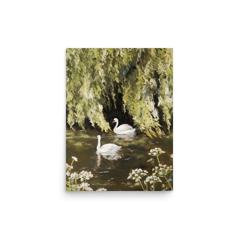 Swans in Willows | Fine Art Print by Taylor Hammond | Pond Scene, Swan Painting, Nature Art Print, Wall Art | Poster Print