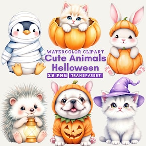 Cute Halloween Animals Clipart, Pumpkin Animal PNG, Fall Watercolor Animal Art for Scrapbooking, Invitations, DIY Crafts and Party Decor