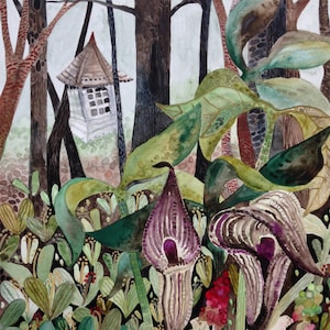 Art Print Original Watercolor Springtime &quot;Riot&quot; with Jack-in-the-Pulpit