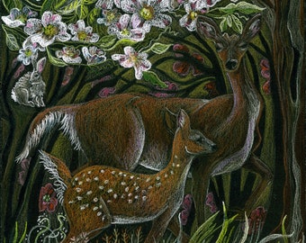 Art Print Original Colored Pencil Drawing Dogwood And Deer