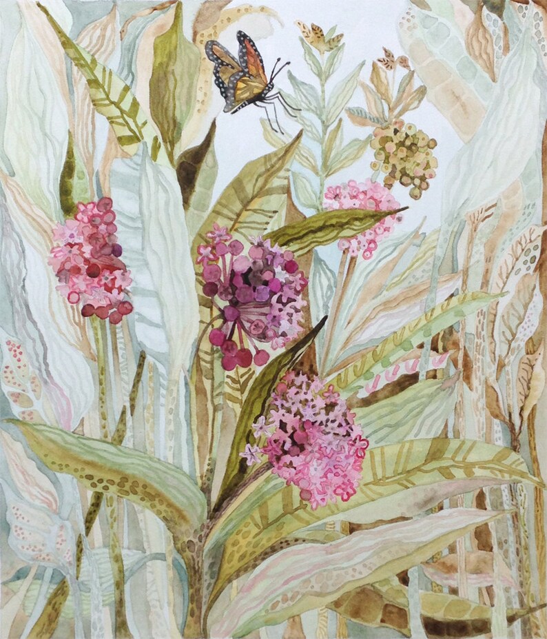 Art Print Original Watercolor of Milkweed in a Field image 1