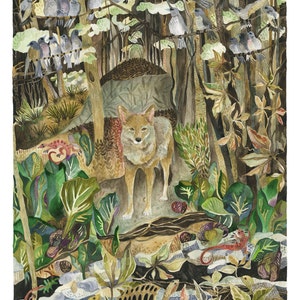 Art Print Original Watercolor Painting Coyote