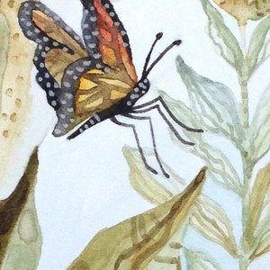 Art Print Original Watercolor of Milkweed in a Field image 3