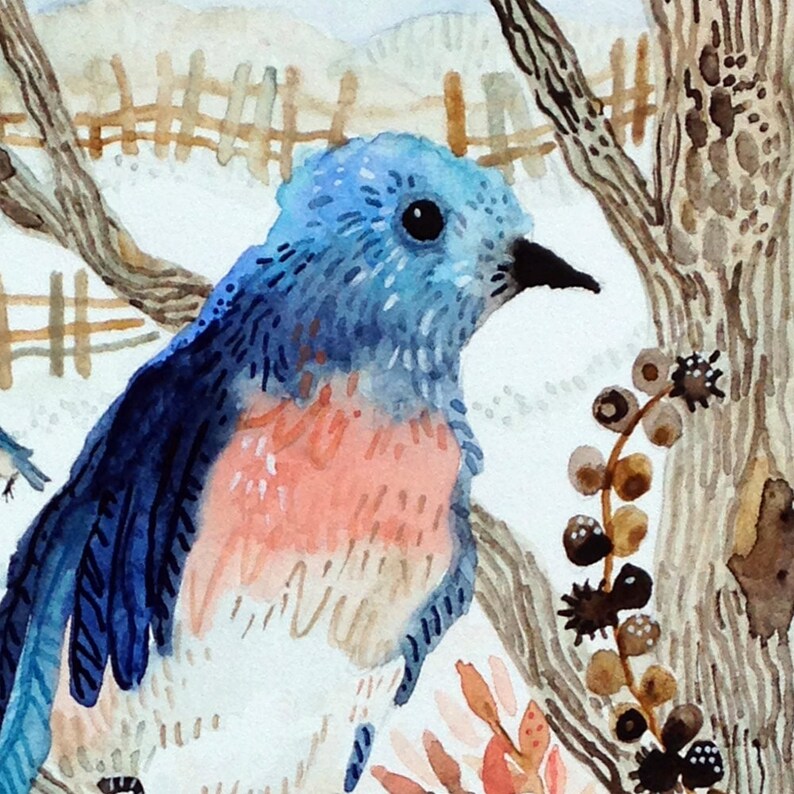 Art Print Original Watercolor Bluebird in Winter Study image 5