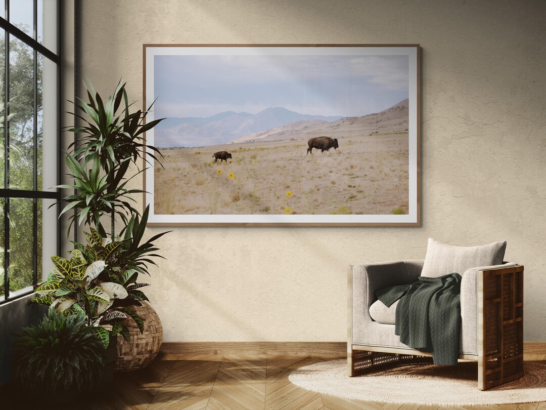 Bison Photography Print: Antelope Island Utah, Western Landscape Art - 36″ x 24″