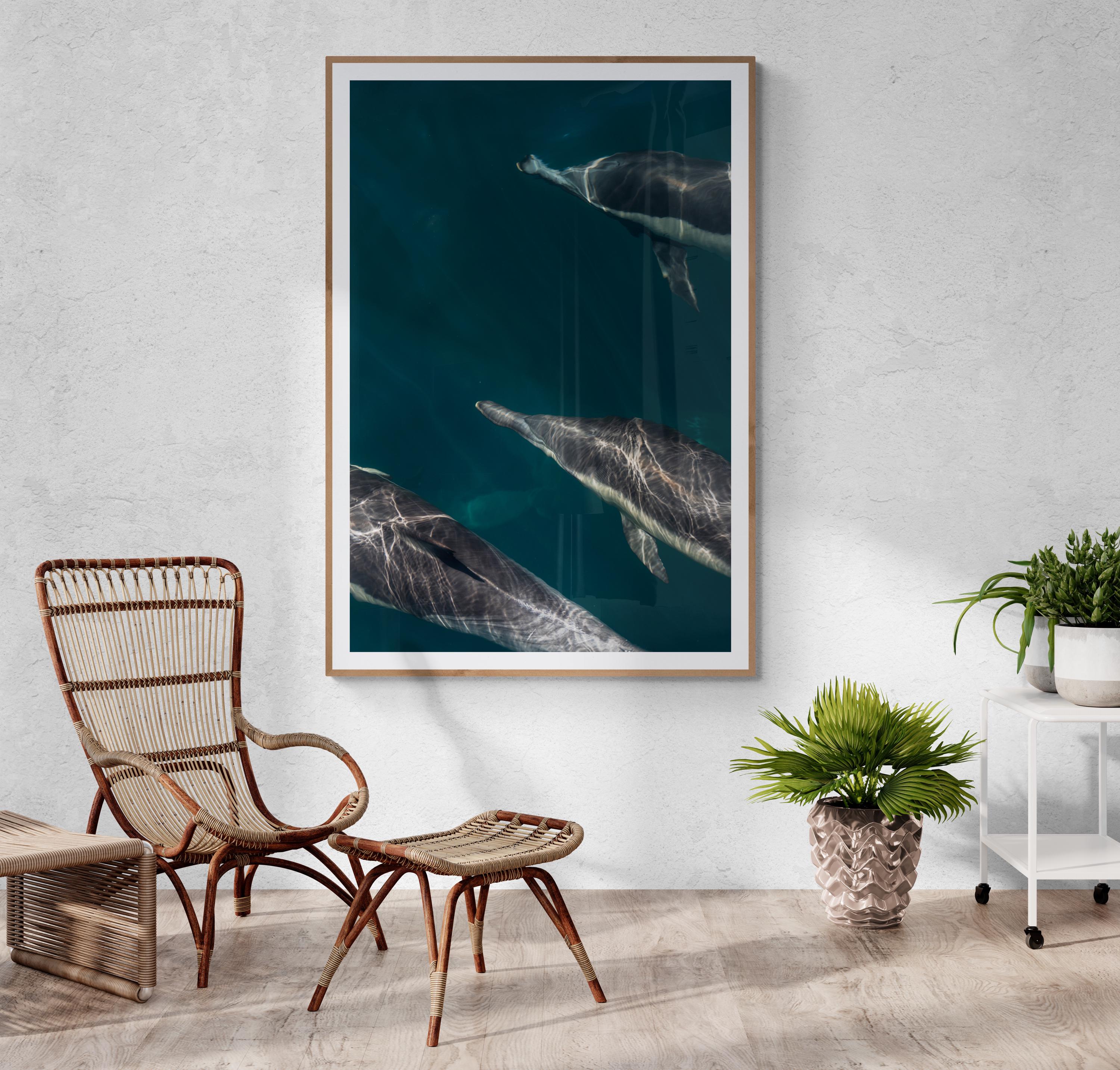 Dolphin Ocean Print, Underwater Photography, Blue Sea Wall Art, Marine Life Decor, Wildlife Nature Print, Tranquil Coastal Artwork