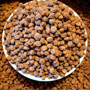 May include: A white plate overflowing with tiger nuts, a popular snack. The nuts are small, round, and have a wrinkled, brown exterior. The image is a close-up, showing the texture and detail of the nuts. The nuts are a light brown color.