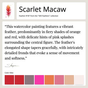 Fact sheet for Feather #187 - Scarlet Macaw