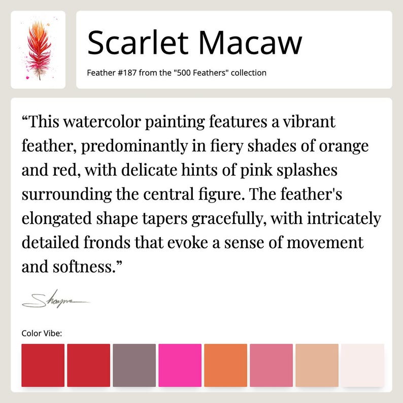 Fact sheet for Feather #187 - Scarlet Macaw