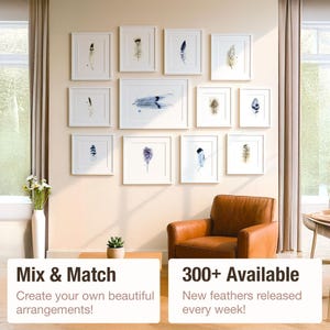 Fact sheet for Feather #285 - Turkey from collection 500 Feathers by Shayna Larsen watercolor artist.