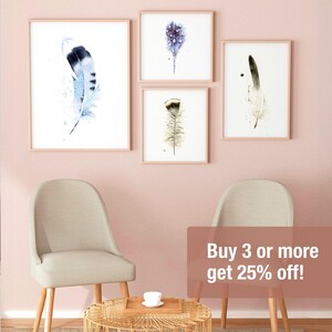 Arrangement of feathers including Feather #285 - Turkey