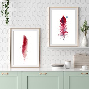 cardinal modern kitchen 500 feathers natural gallery accent art mountain piece bedroom decor collection river display living room wall quality bird colorado rustic nature interior farmhouse giclee design boho premium print beautiful feather fine watercolor boulder home artwork inspired decoration