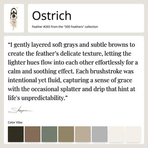 Fact sheet for Feather #265 - Ostrich