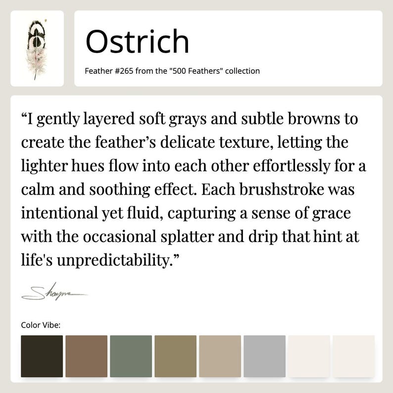 Fact sheet for Feather #265 - Ostrich